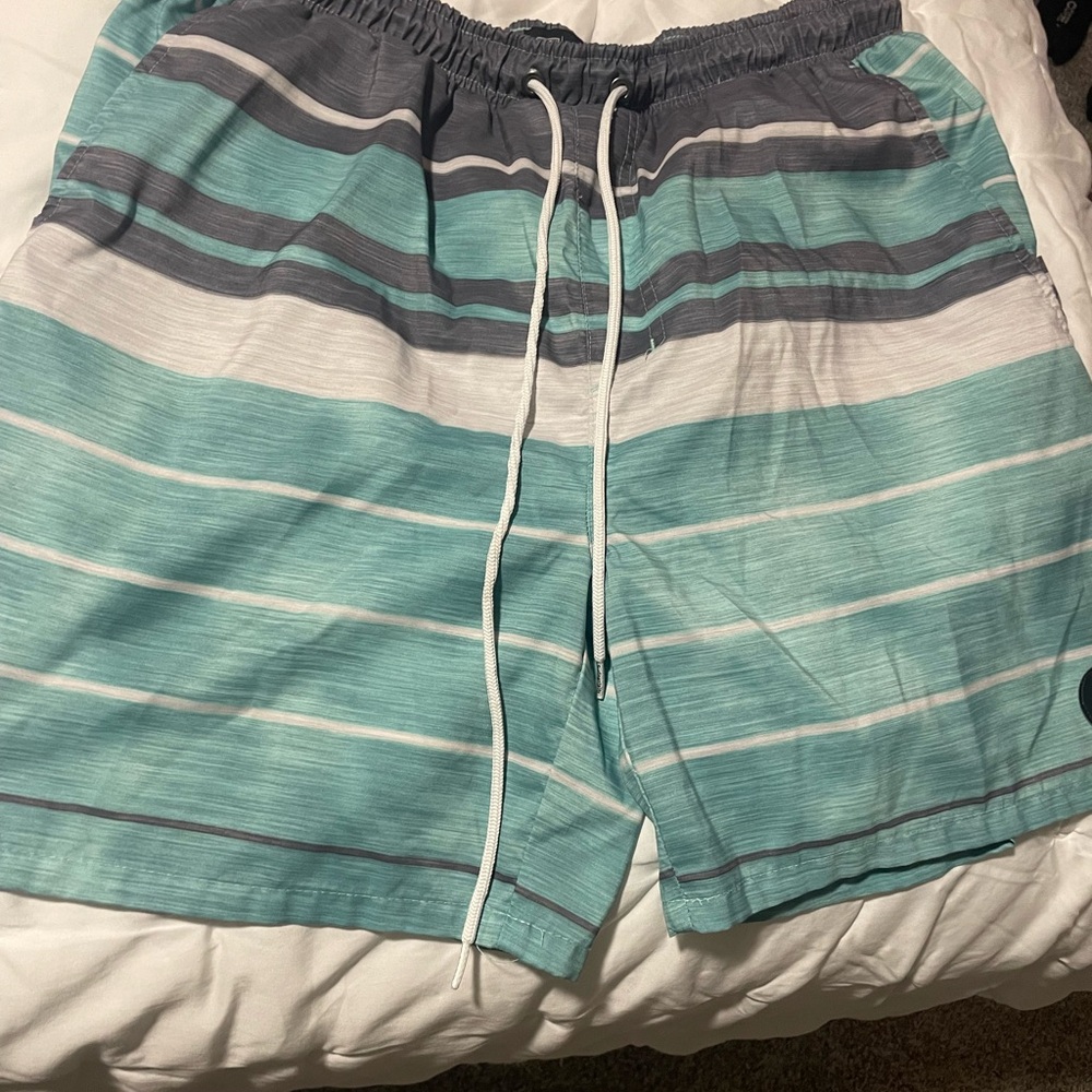 Men's Striped Swim Shorts - Teal and Gray